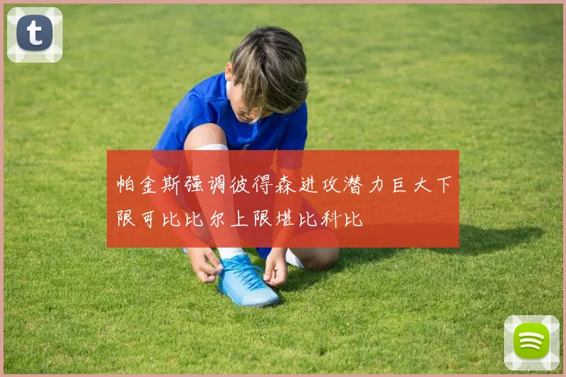 帕金斯强调彼得森进攻潜力巨大下限可比比尔上限堪比科比